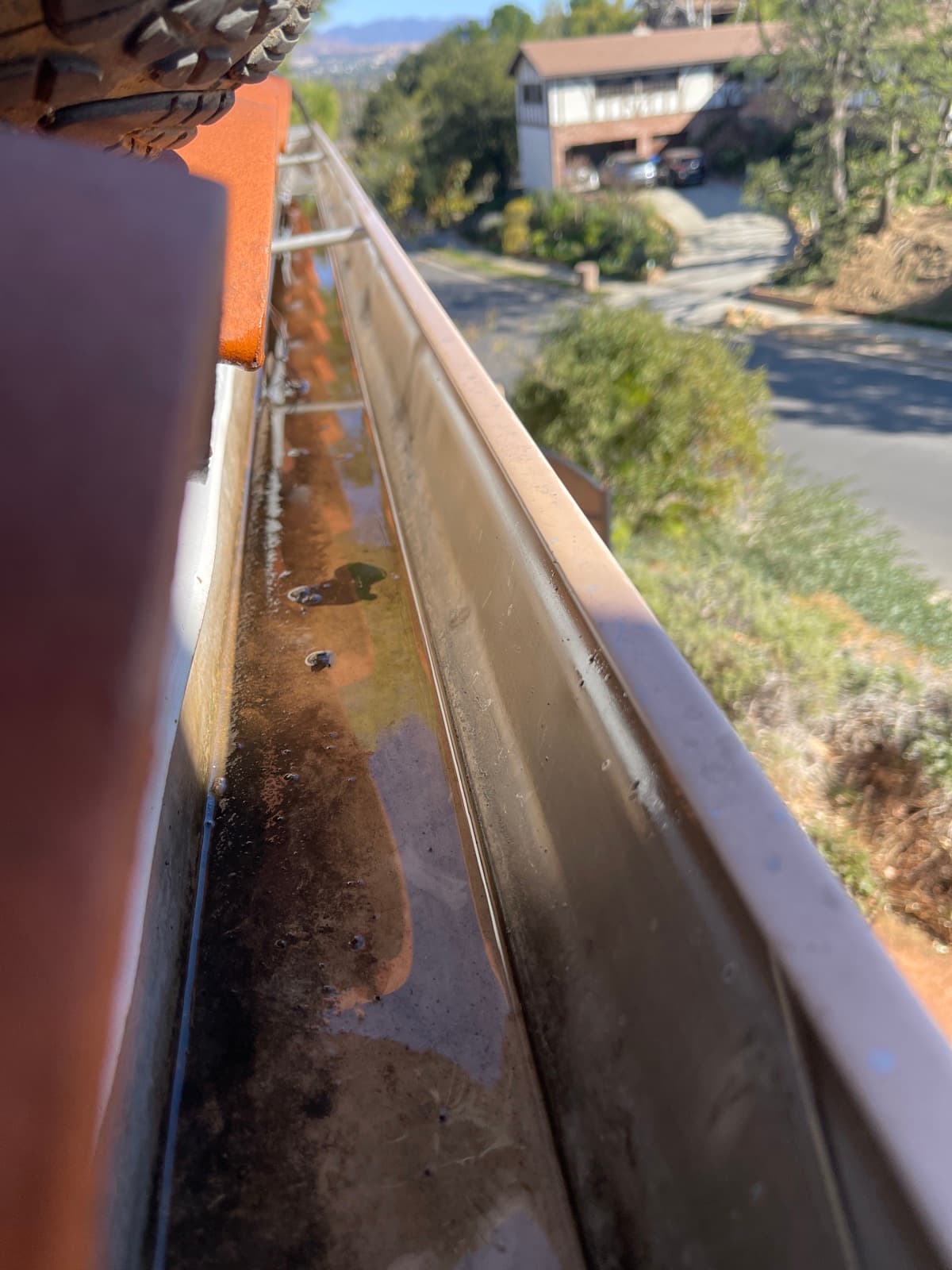 Gutter Cleaning